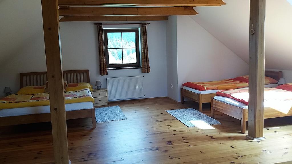 Horni Plana Pension Buitenkant foto